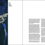 VEX Magazine – Spread No.7