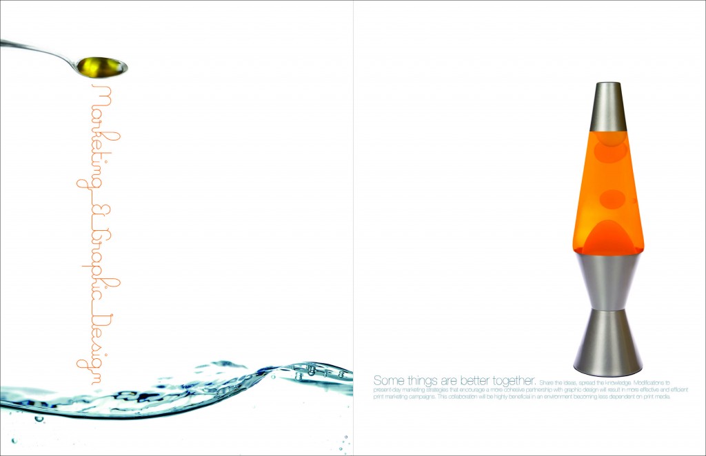 Jibe – Marketing and Graphic Design – Spread No.2